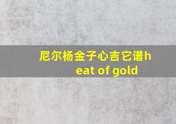 尼尔杨金子心吉它谱heat of gold